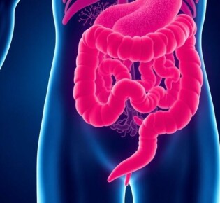 La flora intestinal y la apendicitis: amigos, enemigos y los secretos escondidos en nuestro apéndice