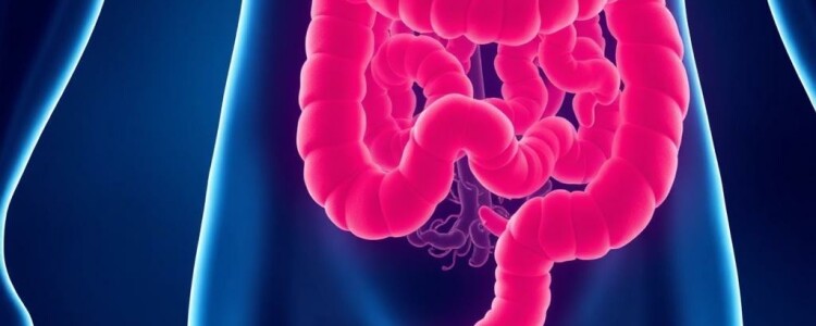 La flora intestinal y la apendicitis: amigos, enemigos y los secretos escondidos en nuestro apéndice