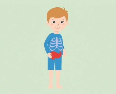 Elterninformation: Cómo reconocer una apendicitis en mi hijo (Woran erkenne ich eine Appendizitis bei meinem Kind?)