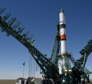 Крошечные чудеса: все о карликовых игрунках