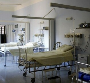 Осетровые рыбы: древние создания, охраняемые веками