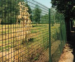 Создайте оазис зелени вокруг дома с декоративным зеленым забором из сетки