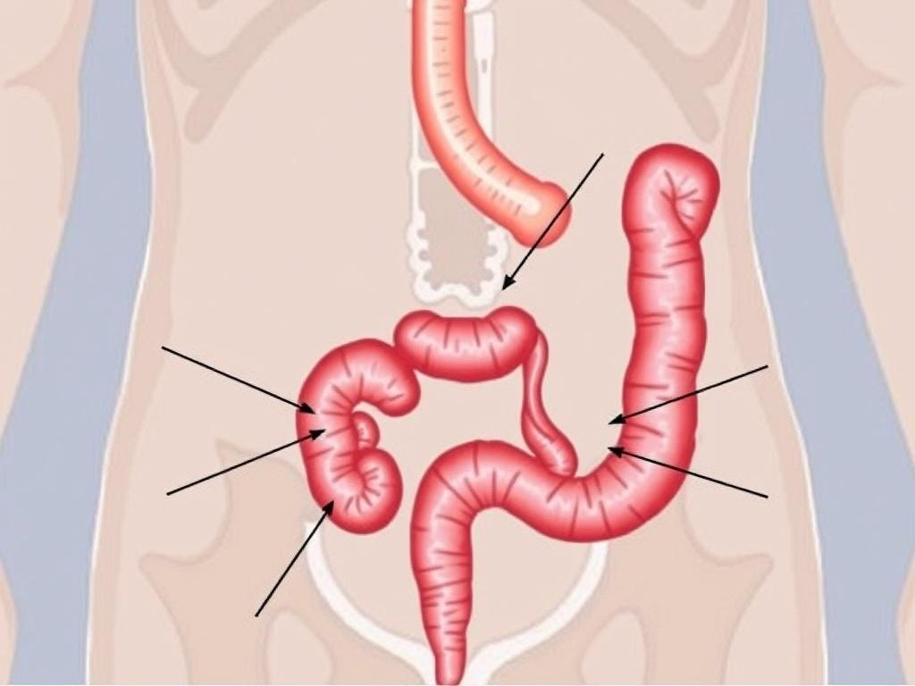 Les signes cliniques classiques de l'appendicite aiguë.. Variantes et présentations atypiques Les signes cliniques classiques de l'appendicite aiguë.. Variantes et présentations atypiques