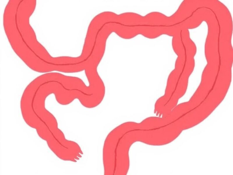 Educación en salud sobre el apéndice.. Prevención y educación en salud: lo que sí podemos hacer